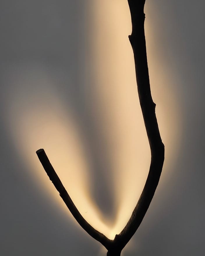 Ash Y-Branch, Matte Black Wall Glow